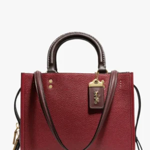 Túi xách Coach nữ công sở C6461 Rouge 25 Colorblock