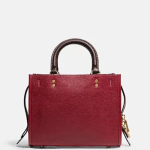 Túi xách Coach nữ công sở C6461 Rouge 25 Colorblock